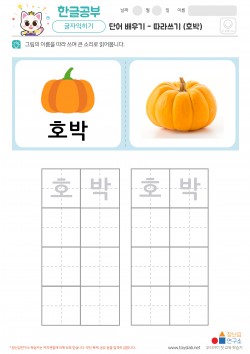 단어 배우기 - 따라쓰기 (호박)